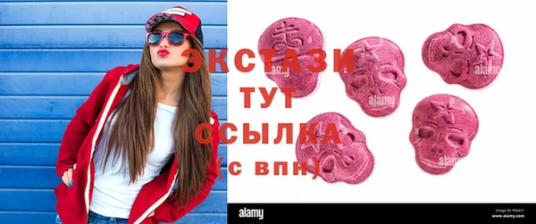 ECSTASY Алзамай