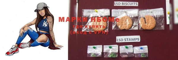 стафф Алексин