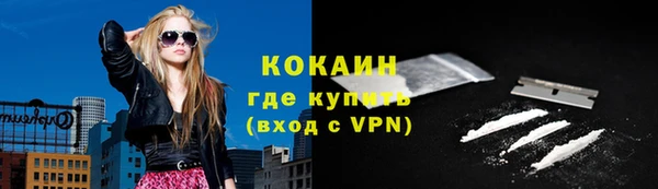 ECSTASY Алзамай
