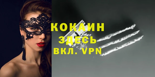стафф Алексин