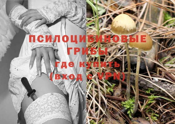 стафф Алексин