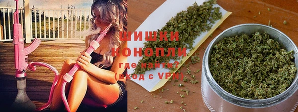 ECSTASY Алзамай