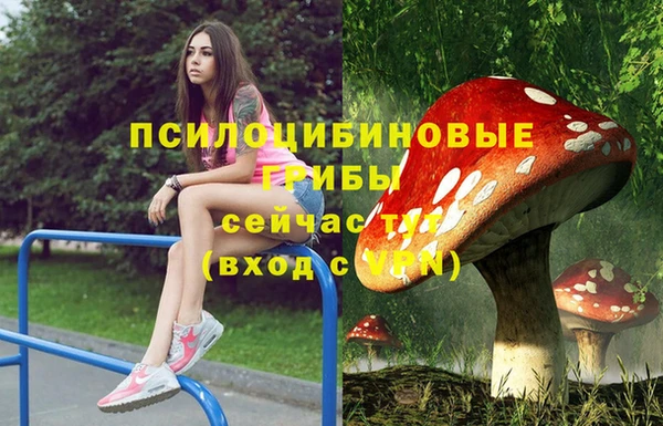 ECSTASY Алзамай