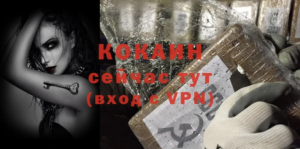 стафф Алексин