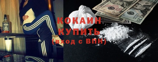 ECSTASY Алзамай