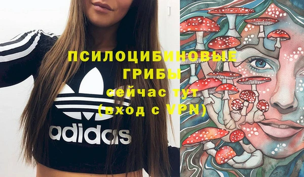 ECSTASY Алексеевка