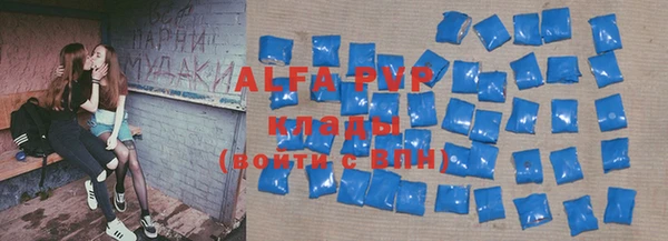 ECSTASY Алзамай