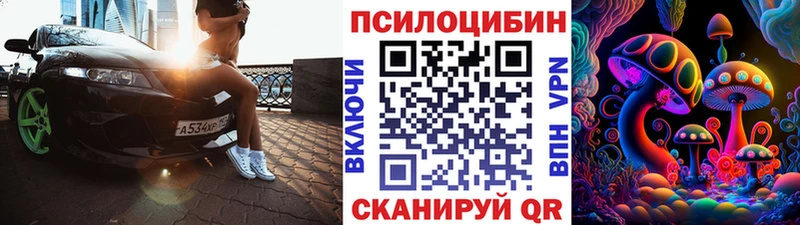Псилоцибиновые грибы Cubensis Муравленко