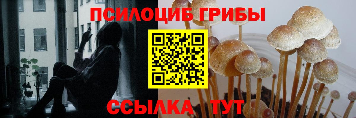 Муравленко  Галлюциногенные грибы GOLDEN TEACHER  Вход с VPN 